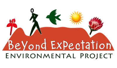 Beyond Expectation Environmental Logo